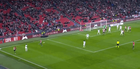 解锁新的冠军版图 樊振东率队登顶德国杯 连胜4盘当选MVP